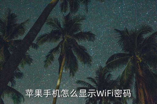 蘋果手機怎么使用網(wǎng)絡(luò)設(shè)置密碼，iphone手機上網(wǎng)設(shè)置...